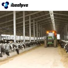 Construction of Cow Shed Cow Breeding Beef Cattle Processing Plant and Pasture in Cattle Farm - Ibeehive Technology Co., Ltd.