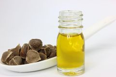 Moringa Seed Oil - Refined – product photo 1, product detail gallery