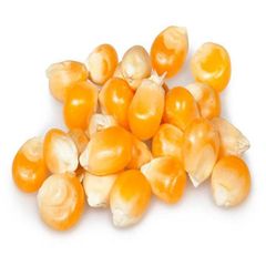 Reliable Maize Exporter Brazil – Best Pricesfrozenchickenexports.com – product photo 2, product detail gallery