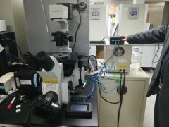 Free Sample- LED Light for Microscope - Image 5