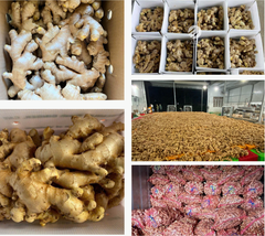Fresh Ginger – product photo 1, product detail gallery