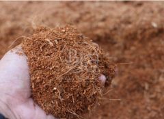 Cocopeat Block - Image 2