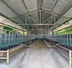Customizable Anti Rust Steel Warehouse Prefabricated Heavy Duty Building - Image 6