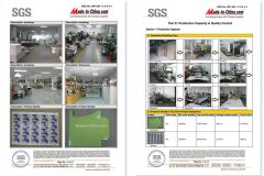 SGS Certified Strength Factory certificate from Shenzhen Trulicn Import & Export Co., Ltd.