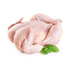 Premium Quality Frozen Whole Chicken/Halal Frozen Boneless Chicken - Image 4