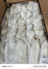 Octopus, squid,.. – product photo 2, product detail gallery