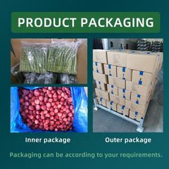 iqf frozen plum fruit Type Plum Shape HALVES Style FROZEN Content plum Grade A or B Address China Weight (kg) 10 Packaging - Image 4
