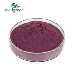 High Quality Acai Berry Juice Powder Fruit Flavor Powder Acai Berry Powder - Image 2
