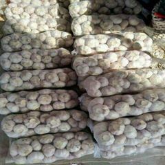 Pure Natural Fresh White Garlic Delivered With Premium Bulb Selection And Export Packing Standards For Import Buyer - Image 1