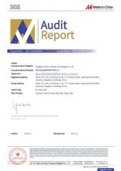 SGS Certification certificate from Qingdao Carlock Sealing Technology Co., Ltd