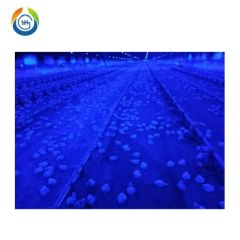 Waterproof and Dustproof High Efficiency LED Poultry Light for Chicken House - Image 6