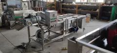 Automatic Food Processing Line Fruit Vegetable Bubble Cleaning Machine - Image 5