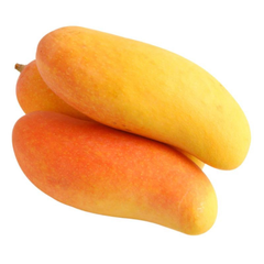 Mango Fruit Grade Premium Fresh Tasty Fruit mango Fresh Wholesale mango - Image 1