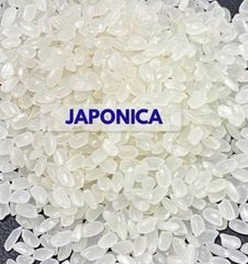 Vietnam Japonica Rice 5% Broken - Short Grain Sushi Rice for Export – product photo 3, product detail gallery