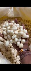 Makhana – product photo 1, product detail gallery