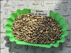 Robusta Green Coffee Beans S18 High Quality TNFOOD Factory Direct Export from Kenya - Image 4
