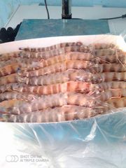 Frozen Raw Shrimp — PD (Peeled & Deveined, Tail-off) — Wild-Caught Atlantic - Image 2