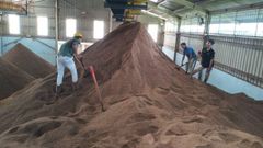 Palm Kernel Expeller – High Protein Feed Grade, East Kalimantan Origin - Image 2