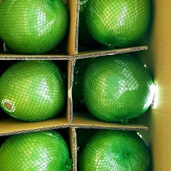 PREMIUM POMELO GREEN SKIN PINK FLESH: GLOBAL CITRUS EXPORTER - Image 1