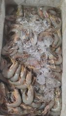 Premium Frozen Vannamei & Black Tiger Shrimp| East Kalimantan Origin - Borneo Indonesia - Image 2