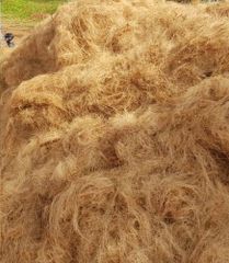 Coconut Fiber Bales Pressed Origin From Indonesia - Image 3