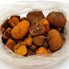 Ox,Cow,Cattle, Gallstones Size Large Stones Type COW GALLSTONE Color Yellow Golden Orange Color Bilirubin Content Not Less Than 35% - Image 2