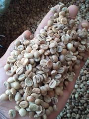 coffee beans - Image 1