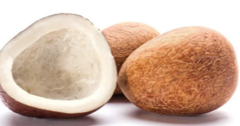 Cocounut and By products – product photo 3, product detail gallery