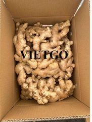 Fresh Ginger, Dried ginger – product photo 1, product detail gallery