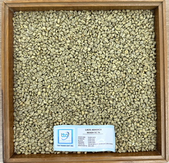 Laos Arabica Grade 1, Screen 16 18, Fully-Washed - Image 3