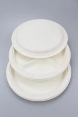 Disposable Bagasse Plate Biodegradable Compostable Sugarcane Tableware Plate - Image 4