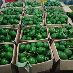 High quality fresh mature avocados from 100% natural creamy taste 10kg/box – product photo 2, product detail gallery