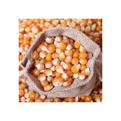 Pure Expanded Non-GMO Non Gmo Yellow Maize Good Quality Non Gmo Yellow Maize for sale - Image 1