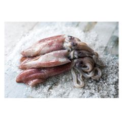 Good Quality Cheap Price Frozen Whole Loligo Squid For Export - Image 5