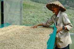 Company – thumbnail 9 of 11, supplier detail gallery