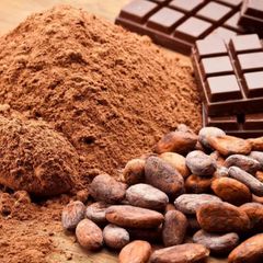 U2U2402 Cocoa Beans High Quality Cacao Beans for Gourmet Use – product photo 1, product detail gallery