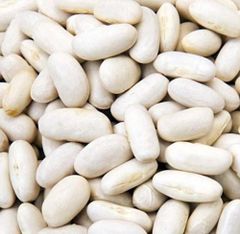 Wholesale Hot Selling Natural White Beans White Sugar Bean New Crop White Kidney beans - Image 2