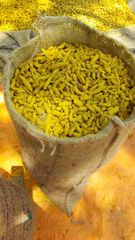 Turmeric finger double polished – product photo 3, product detail gallery