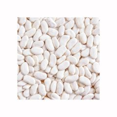 White kidney beans available for sale in bulk quantities for global food distributors – product photo 3, product detail gallery