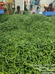 Green chilli - Image 3