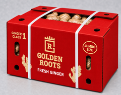 Golden Roots Jumbo Fresh Whole Ginger – 9 kg carton (GIN001) - Image 2