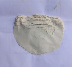 Dehydrated White Onion Powder - Image 3