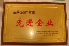 Advanced Company certificate from TAIZHOU FASTOOL INDUSTRY CO., LTD.