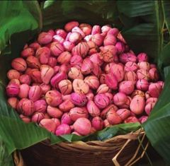 Kola Nuts Origin Cameroon Ash Content 2.5 % Hs Code 0802.90.00 Fats Content 1 – 2 % Protein Content 2 – 4 % Size 3–6 Cm In Diameter - Image 4