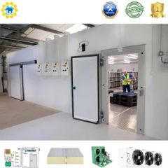 Customizable Freezer Cold Room with 75mm Panel Thickness and Storage - Image 1