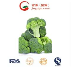 Premium Frozen Broccoli - Super Quality Green Vegetable HS Code 0710809090 Production Capacity 2000 Mts Transport Package - Image 5