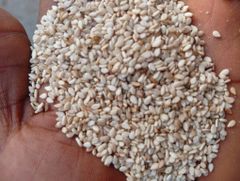 Sesame Seeds – product photo 1, product detail gallery