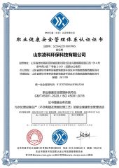 Occupational Health and Safety Management System certificate from Shandong Lingke Environmental Protection Technology Co., Ltd.