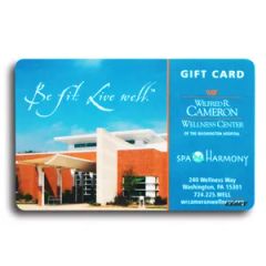 Custom CYMK Colors Print Membership ID Chip VIP Cards for Club - Image 6