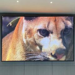 Indoor P2.5 320X160mm LED Display Screen Modules 128X64dots - Image 5